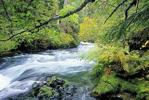 地球上の水をすべて集めるとこうなる