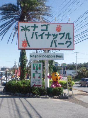 パイナップルパークに行ってきました