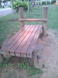 公園でトレーニング