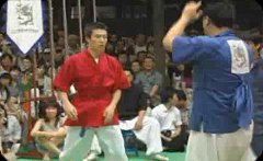 韓国の伝統武芸テッキョン