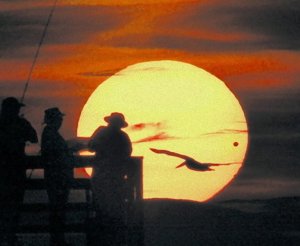 台風で残念ながら見られない!一生に一度!?のチャンスが・・