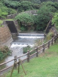 今日も家族でウォーキング
