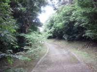 今日も家族でウォーキング