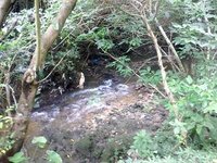 今日も家族でウォーキング