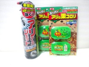 アリが大量発生!!