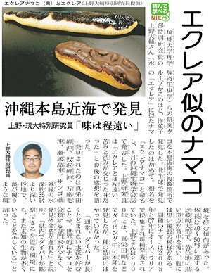エクレアナマコ、新種のナマコを沖縄で発見!