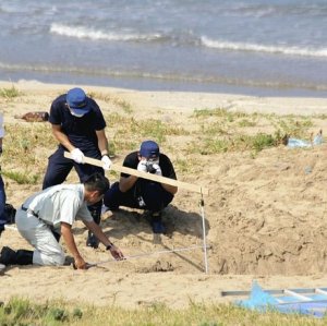 「自分で掘った落とし穴に落ち新婚夫婦死亡」のニュース
