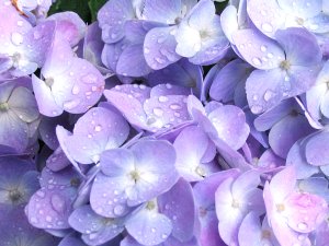 梅雨明けしましたが・・・カビ対策