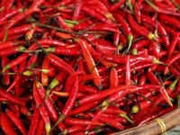 ダイエットしたい方必見! 新陳代謝を良くする6つの食べ物