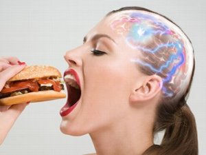 ジャンクフードは脳を破壊し、肥満化させることが分かった