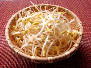 これ食べてヤセたよ!カロリー抑えて満腹なれる食材