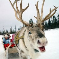 おもしろクリスマス特集 Part.2