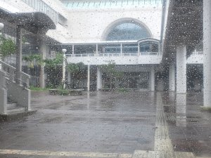 台風、街やお店の様子など
