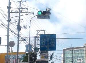 給油所は洗車をする車で満車でした