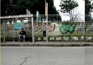 なんの変哲もない画像かと思ったら…