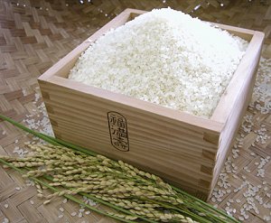 お米を食べ過ぎると「糖尿病」に!?