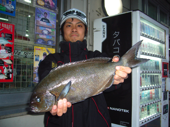 尾長グレとったどーの巻