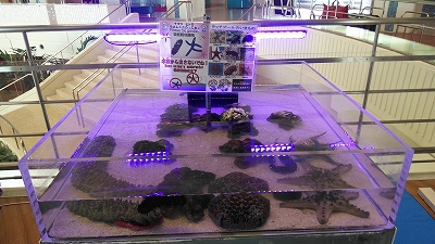 万座35ローストコーヒー 万座35ローストコーヒー