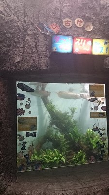 二見シーパラダイス♪ 二見シーパラダイス♪
