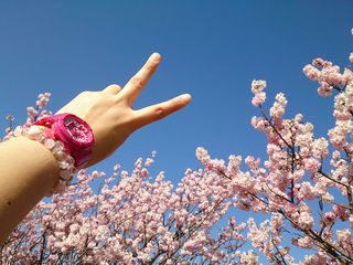 ☆お散歩〜☆ ☆お散歩〜☆
