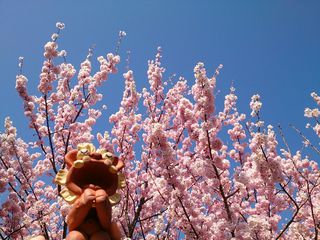 ☆ふくざわ公園☆ ☆ふくざわ公園☆