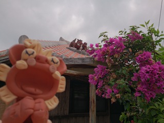 ☆大好きな場所☆ ☆大好きな場所☆