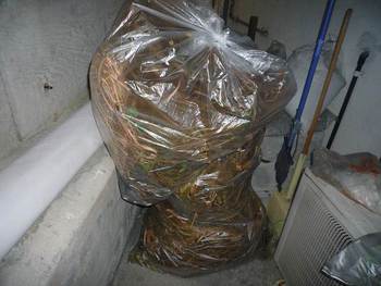 草刈 草刈