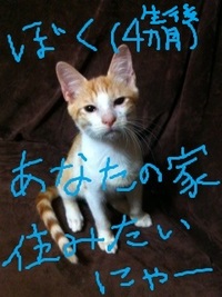 2011年09月30日