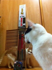 2011年07月29日