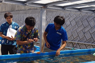 サンゴ再生活動環境学習会