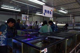サンゴ再生活動環境学習会