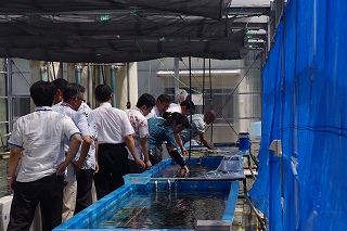 サンゴ再生活動環境学習会