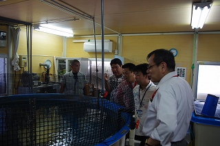 サンゴ再生活動環境学習会