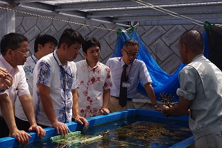サンゴ再生活動環境学習会