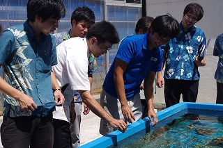 サンゴ再生活動環境学習会