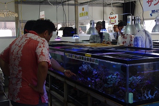 サンゴ再生活動環境学習会