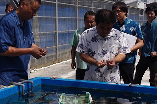 サンゴ再生活動環境学習会