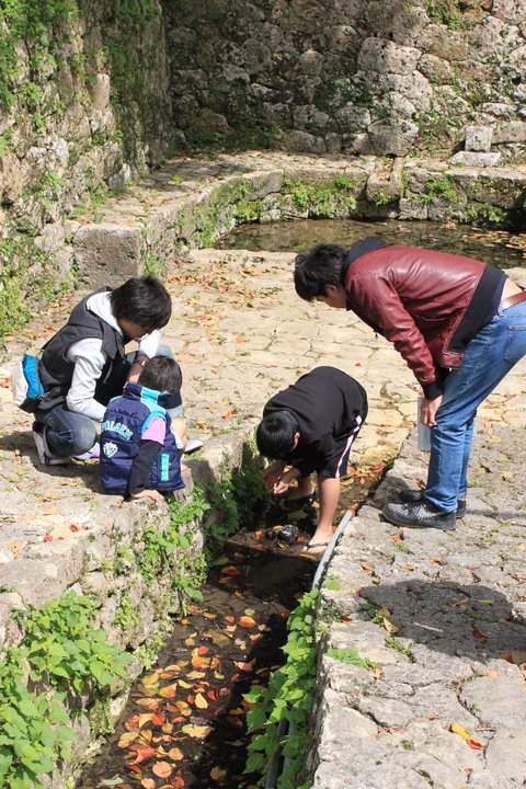 沖縄市景観計画・先進事例視察会