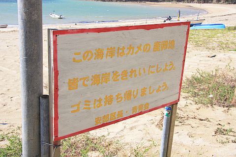 安部的海滨