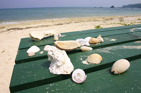 名嘉间海滨