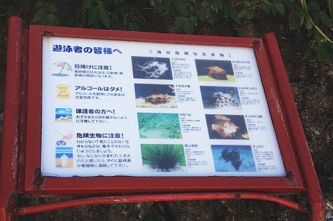 盐河海滨