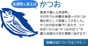 本部かつお