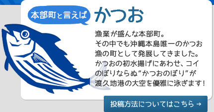 本部町と言えば「かつお」