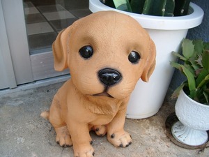 看板犬