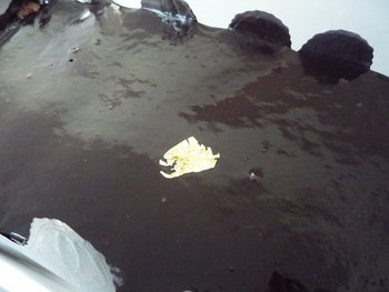 ケーキ