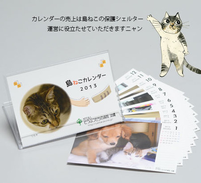 島ねこカレンダー2013 ご案内です!