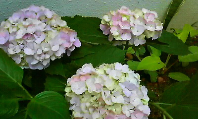昨日と違う私