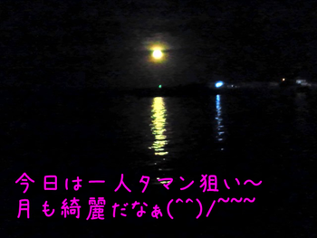 夜釣り~