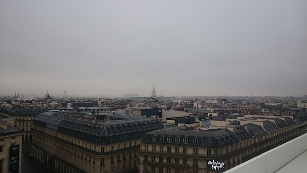 パリの街を上から眺める