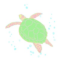 ペタルーナ 12周年祭